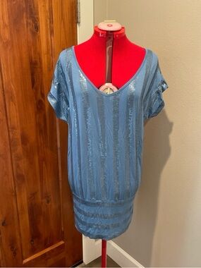 Light Blue V-Neck Sequin Stripe Tunic Top or Dress